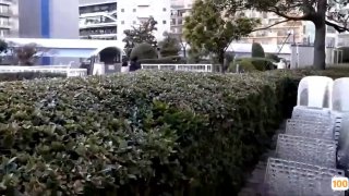 ...专区精品全集完整版在线播放-日韩一区二区在线电影...